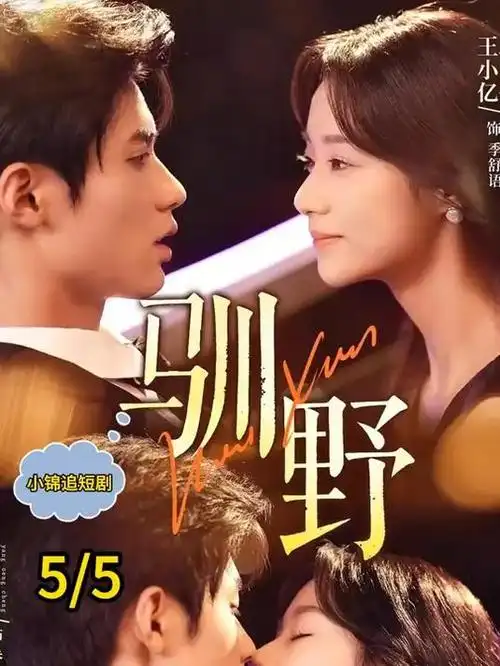 归途列车 热播电视剧全集在线观看